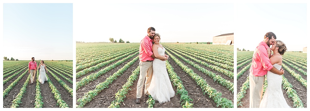 Stephanie Marie Photography This Old Barn Fairfield Iowa City Wedding Photiographer Tylor Emily 20