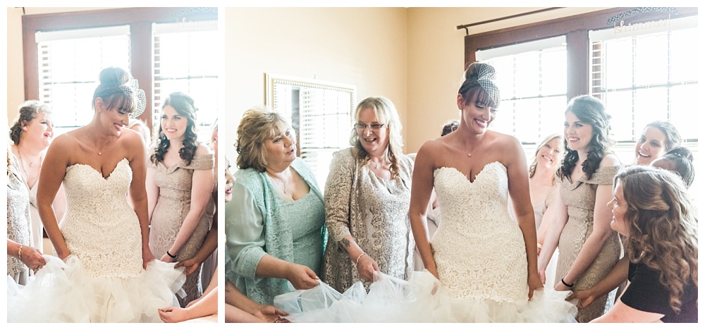 Stephanie Marie Photography The Silver Fox Historic Wedding Venue Streator Chicago Illinois Iowa City Photographer_0010.jpg