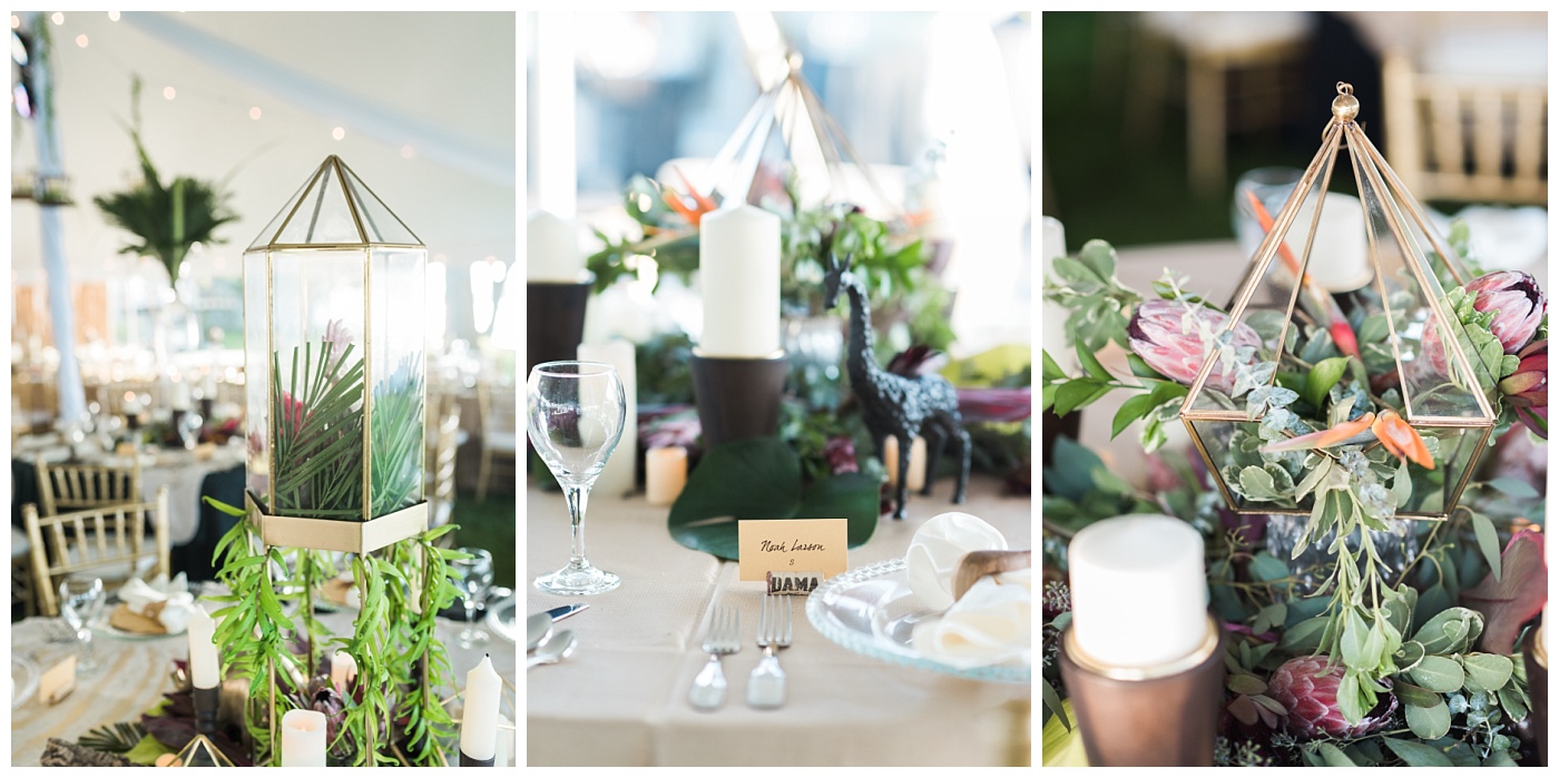 Stephanie Marie Photography African Theme Highlights Leslie Dan Kehl Iowa City Wedding Photographer_0014.jpg